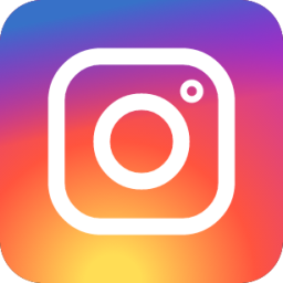 IG icon Image